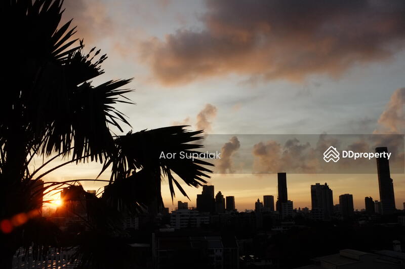 ให้เช่า - The Teak Sukhumvit 39 : เดอะ ทีค สุขุมวิท 39, กรุงเทพ
