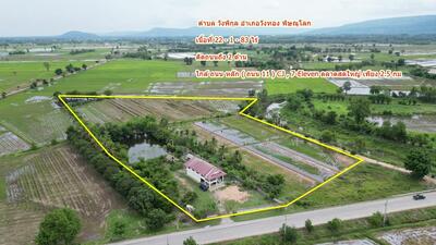 ขาย - ขายที่ดิน แถมบ้าน ตำบลวังพิกุล อำเภอวังทอง จังหวัดพิษณุโลก ติดถนน Highway 2001 เดินทางสะดวก, พิษณุโลก