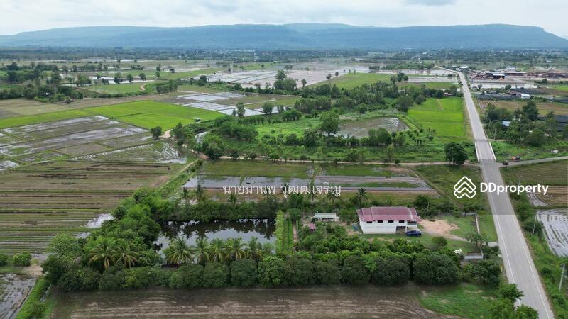 ขาย - ขายที่ดิน แถมบ้าน ตำบลวังพิกุล อำเภอวังทอง จังหวัดพิษณุโลก ติดถนน Highway 2001 เดินทางสะดวก, พิษณุโลก