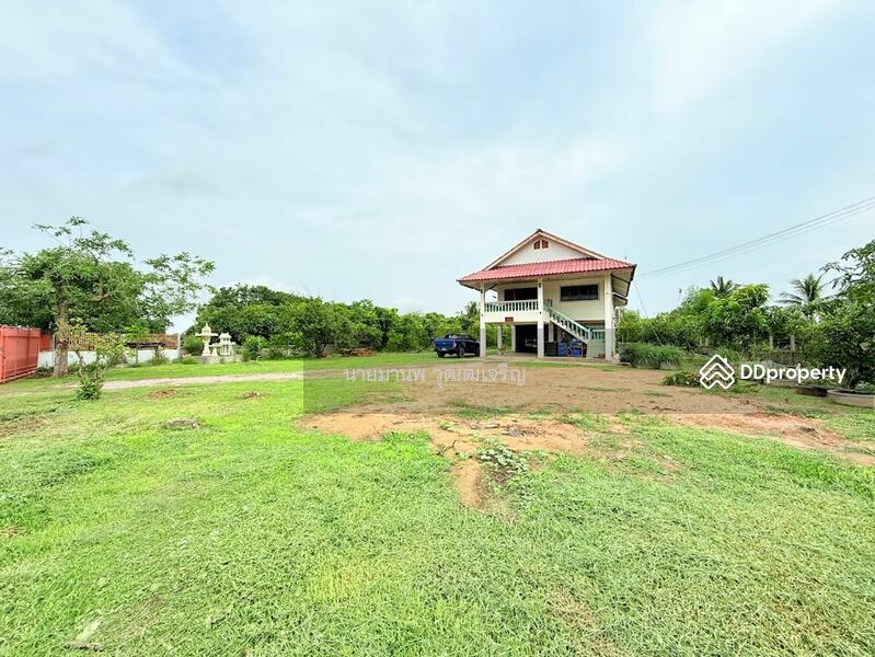 ขาย - ขายที่ดิน แถมบ้าน ตำบลวังพิกุล อำเภอวังทอง จังหวัดพิษณุโลก ติดถนน Highway 2001 เดินทางสะดวก, พิษณุโลก