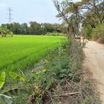 ที่ดิน 6 ไร่ ต.คลองควาย อ.สามโคก จ.ปทุมธานี, ปทุมธานี