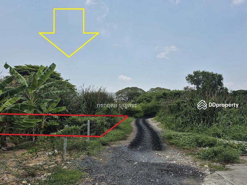 For Sale - https://maps.app.goo.gl/jjjugTRpHDbf7TV59?g_st=com.google.maps.preview.copy, Bangkok