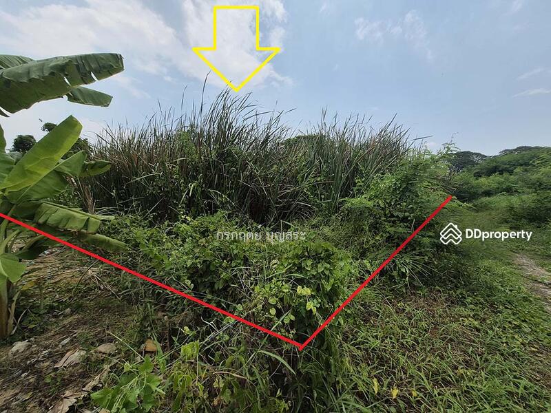 For Sale - https://maps.app.goo.gl/jjjugTRpHDbf7TV59?g_st=com.google.maps.preview.copy, Bangkok