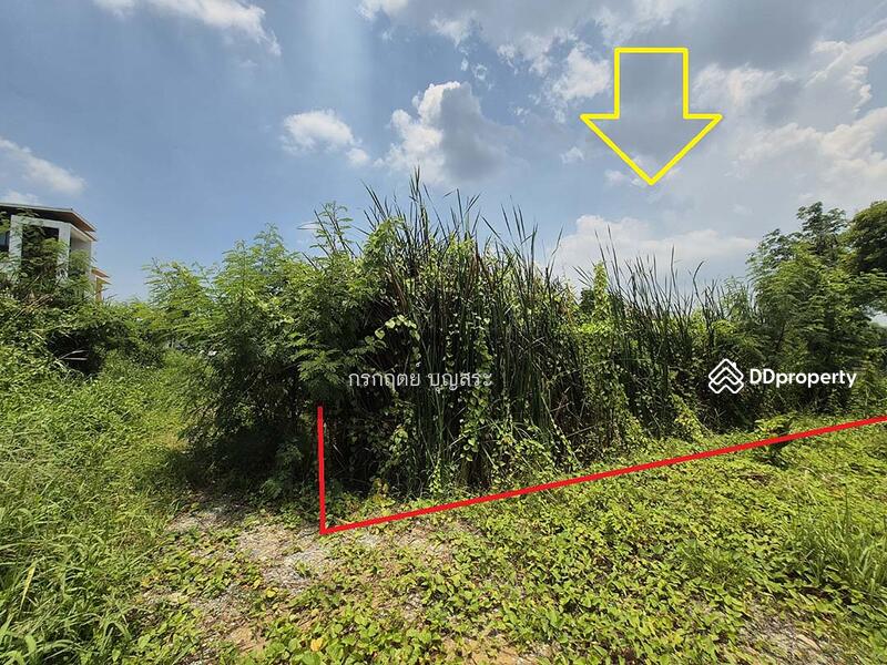 For Sale - https://maps.app.goo.gl/jjjugTRpHDbf7TV59?g_st=com.google.maps.preview.copy, Bangkok