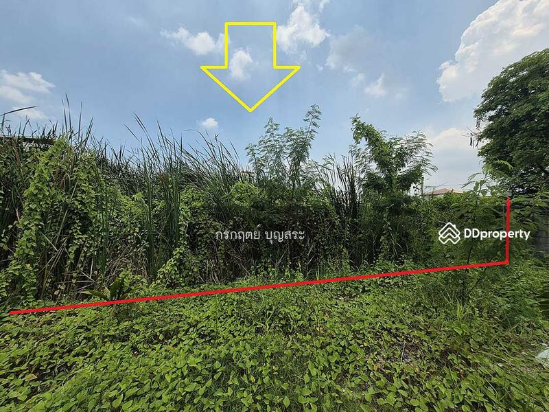 For Sale - https://maps.app.goo.gl/jjjugTRpHDbf7TV59?g_st=com.google.maps.preview.copy, Bangkok