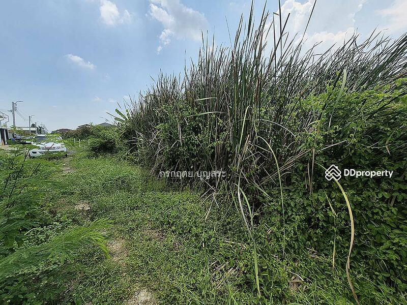 For Sale - https://maps.app.goo.gl/jjjugTRpHDbf7TV59?g_st=com.google.maps.preview.copy, Bangkok
