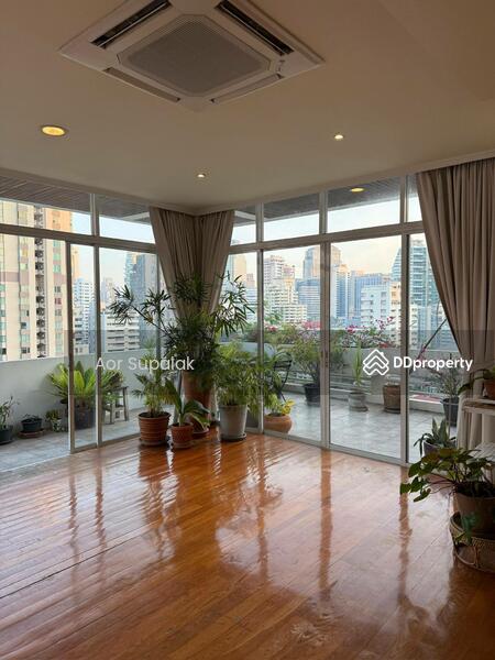 ให้เช่า - Sukhumvit House : สุขุมวิท เฮ้าส์, กรุงเทพ