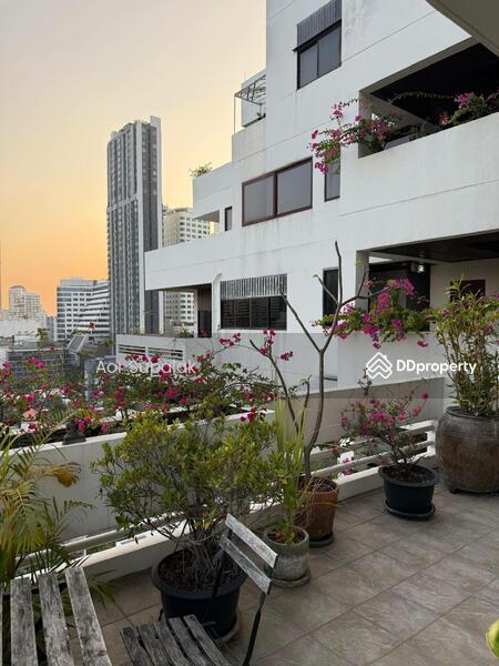 ให้เช่า - Sukhumvit House : สุขุมวิท เฮ้าส์, กรุงเทพ