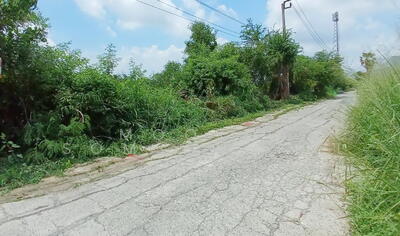ขาย - ขายที่ดินเปล่า 100 ตรว. ซอยเลียบวารี 35 หนองจอก กรุงเทพฯ, กรุงเทพ