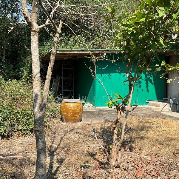 2 rai land with charming house near Phetkasem Road – Cha-am natural retreat, Phetchaburi, 256 เพรชเกษม, Cha-am, Cha-Am, Phetchaburi, , 3,200 sqm, Land For Sale, by Wanita Intranilodom, 11892253 - DDproperty.com