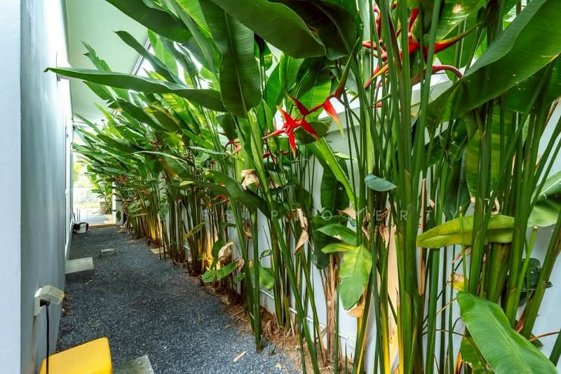 2R0892 House with 2 bedroom 2bathroom 45,000/month at Choeng Thale fully furnished, Phuket, Choeng Thale, Thalang, Phuket, 2 Bedrooms, 150 sqm, Single Detached House For Rent, by PK Life Property, 11892268 - DDproperty.com