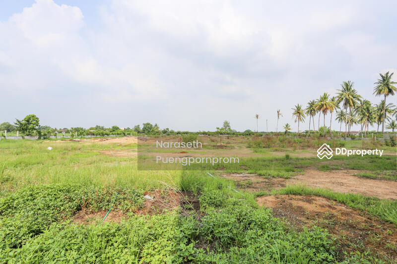 For Sale - Factory with Land for Sale Ready-to-Use Agricultural Processing Facility, Nakhon Pathom