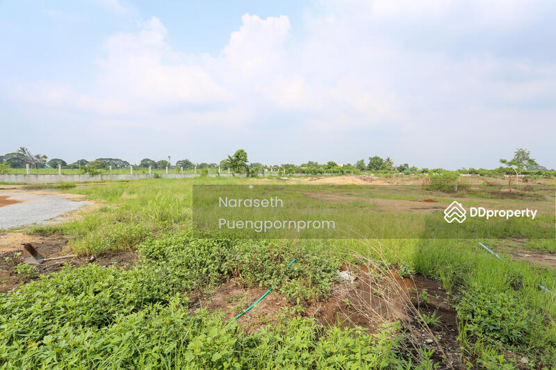 ขาย - ขายที่ดินพร้อมโรงงาน อ.กำแพงแสน จ.นครปฐม, นครปฐม