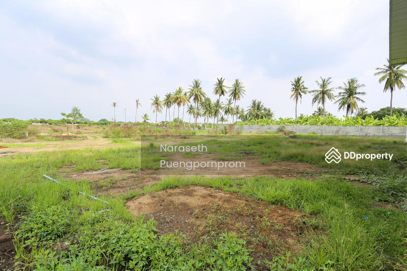 For Sale - Factory with Land for Sale Ready-to-Use Agricultural Processing Facility, Nakhon Pathom