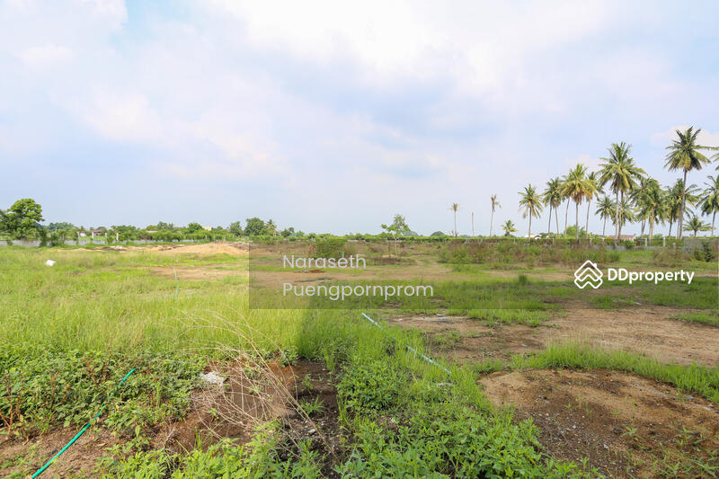 ขาย - ขายที่ดินพร้อมโรงงาน อ.กำแพงแสน จ.นครปฐม, นครปฐม