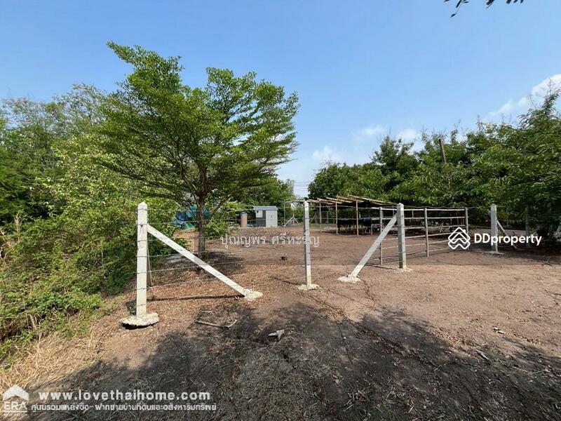 For Sale - Lio Bliss Rangsit-Bangpoon, Pathum Thani