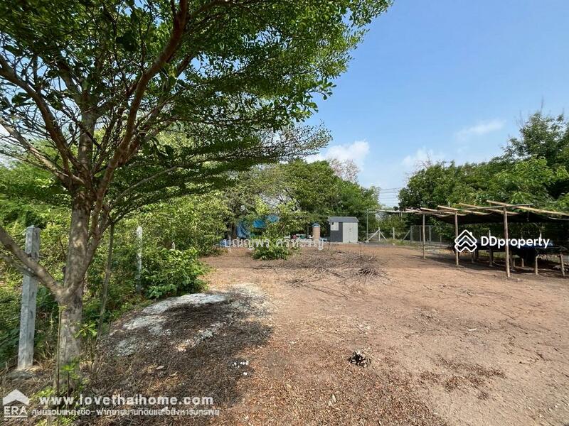 For Sale - Lio Bliss Rangsit-Bangpoon, Pathum Thani