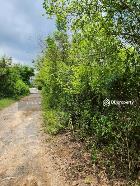 ขาย - ขายที่ดินเปล่า 2ไร่ พิกัดซอยข้างแขวงการทางสุพรรณบุรี สามแยกอู่ยา ถนนมาลัยแมน อ.เมือง สุพรรณบุรี, สุพรรณบุรี