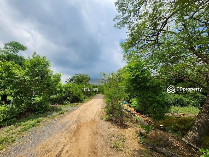 ขาย - ขายที่ดินเปล่า 2ไร่ พิกัดซอยข้างแขวงการทางสุพรรณบุรี สามแยกอู่ยา ถนนมาลัยแมน อ.เมือง สุพรรณบุรี, สุพรรณบุรี