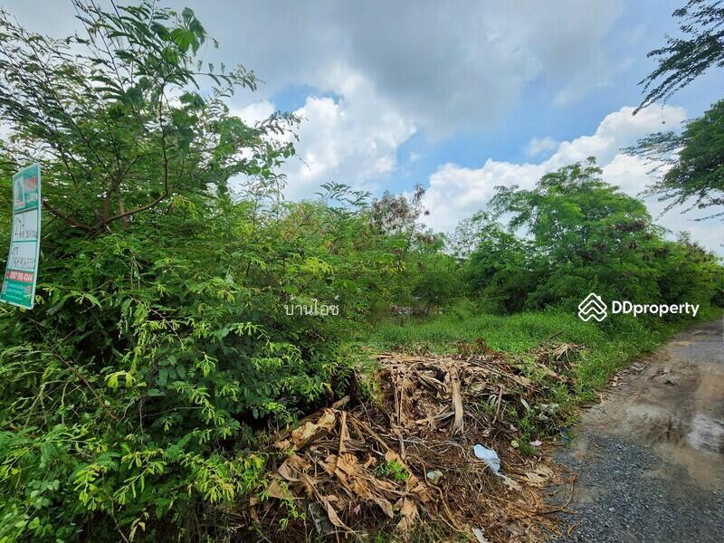 ขาย - ขายที่ดินเปล่า 2ไร่ พิกัดซอยข้างแขวงการทางสุพรรณบุรี สามแยกอู่ยา ถนนมาลัยแมน อ.เมือง สุพรรณบุรี, สุพรรณบุรี