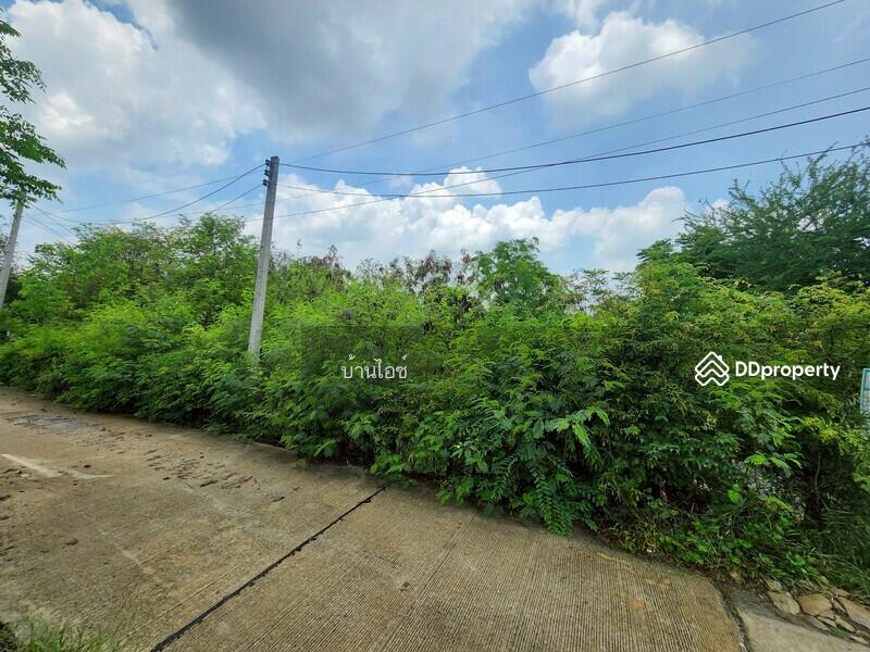 ขาย - ขายที่ดินเปล่า 2ไร่ พิกัดซอยข้างแขวงการทางสุพรรณบุรี สามแยกอู่ยา ถนนมาลัยแมน อ.เมือง สุพรรณบุรี, สุพรรณบุรี