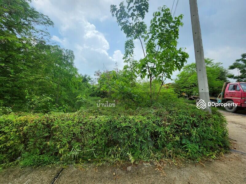 ขาย - ขายที่ดินเปล่า 2ไร่ พิกัดซอยข้างแขวงการทางสุพรรณบุรี สามแยกอู่ยา ถนนมาลัยแมน อ.เมือง สุพรรณบุรี, สุพรรณบุรี