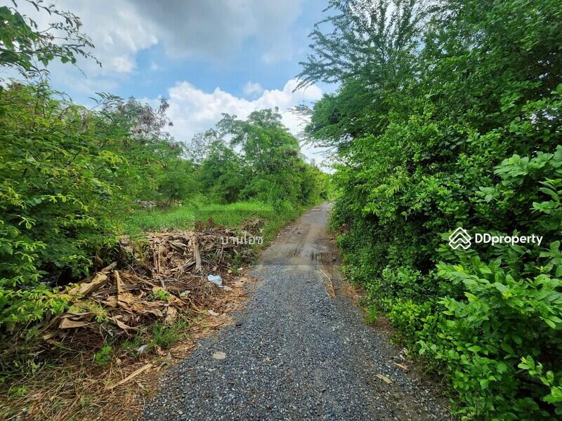 ขาย - ขายที่ดินเปล่า 2ไร่ พิกัดซอยข้างแขวงการทางสุพรรณบุรี สามแยกอู่ยา ถนนมาลัยแมน อ.เมือง สุพรรณบุรี, สุพรรณบุรี