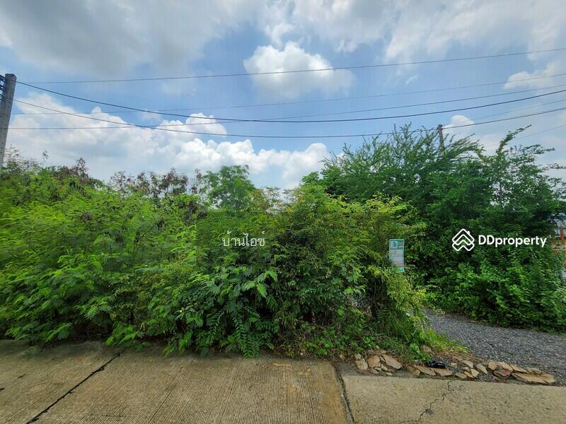 ขาย - ขายที่ดินเปล่า 2ไร่ พิกัดซอยข้างแขวงการทางสุพรรณบุรี สามแยกอู่ยา ถนนมาลัยแมน อ.เมือง สุพรรณบุรี, สุพรรณบุรี