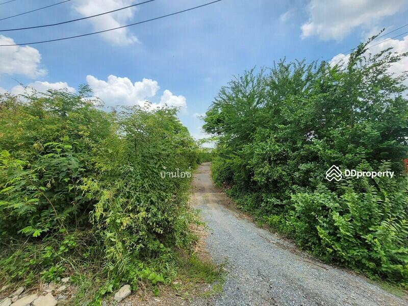 ขาย - ขายที่ดินเปล่า 2ไร่ พิกัดซอยข้างแขวงการทางสุพรรณบุรี สามแยกอู่ยา ถนนมาลัยแมน อ.เมือง สุพรรณบุรี, สุพรรณบุรี