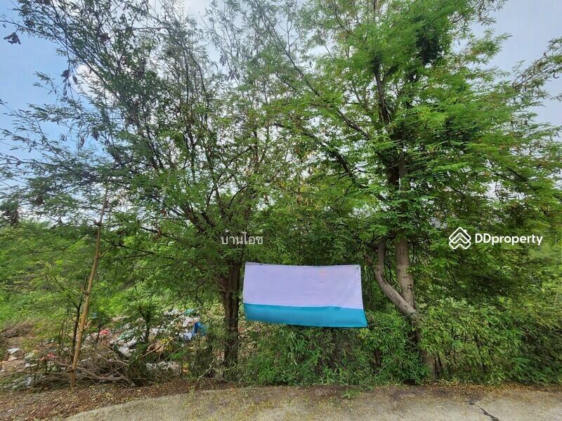 ขาย - ขายที่ดินเปล่า 2ไร่ พิกัดซอยข้างแขวงการทางสุพรรณบุรี สามแยกอู่ยา ถนนมาลัยแมน อ.เมือง สุพรรณบุรี, สุพรรณบุรี