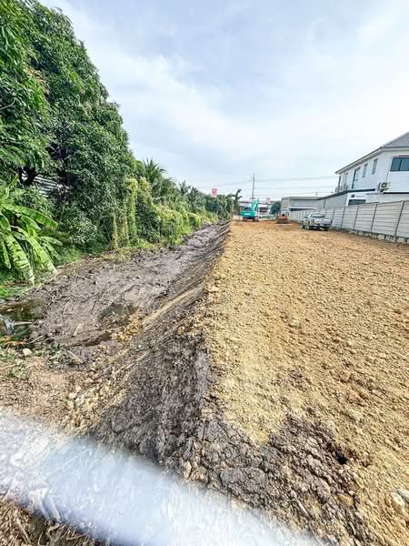 ขายที่ดินติดถนน พุทธมณฑล สาย5 ทำเลทอง หน้าติดถนนหลัก หลังติดคลอง 1ไร่ 15ล้าน ถูกมาก, นครปฐม, บางกระทึก, สามพราน, นครปฐม, 1,529 ตร.ม., ที่ดิน ขาย, โดย Apaporn Muanthorani, 11892900 - DDproperty.com