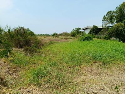 ขาย - ที่ดิน ซอยบรมไตรโลกนารถ 29, พิษณุโลก