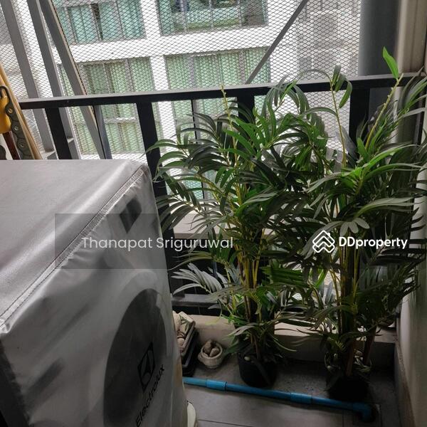 For Rent - Vinn Sukhumvit 46, Bangkok