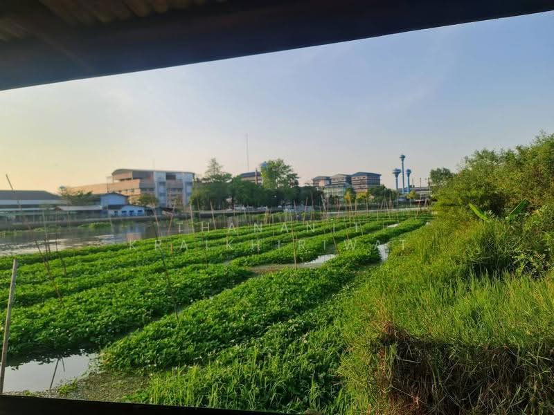 ขายที่ดินเปล่า สามพราน, Nakhon Pathom, Hom Kret, Sam Phran, Nakhon Pathom, , 3,200 sqm, Land For Sale, by Thananit Kraikhiriwat, 11893260 - DDproperty.com