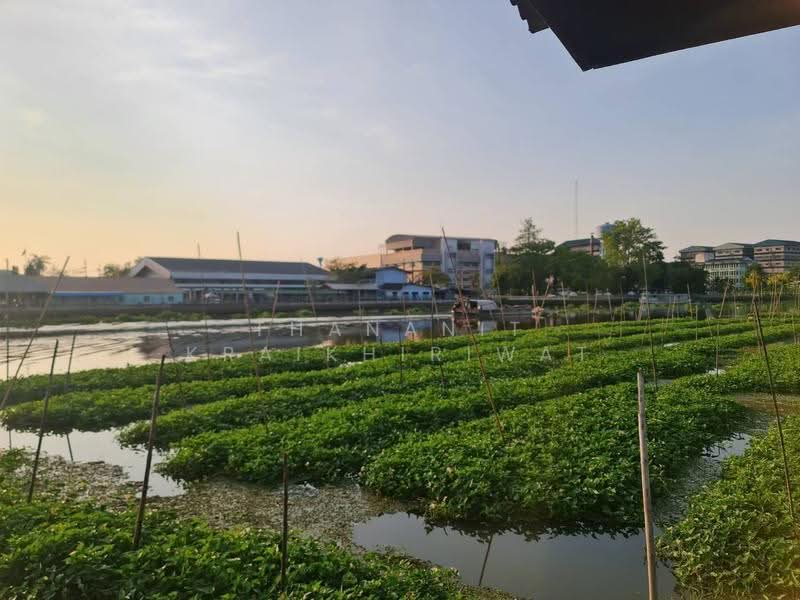 ขายที่ดินเปล่า สามพราน, Nakhon Pathom, Hom Kret, Sam Phran, Nakhon Pathom, , 3,200 sqm, Land For Sale, by Thananit Kraikhiriwat, 11893260 - DDproperty.com