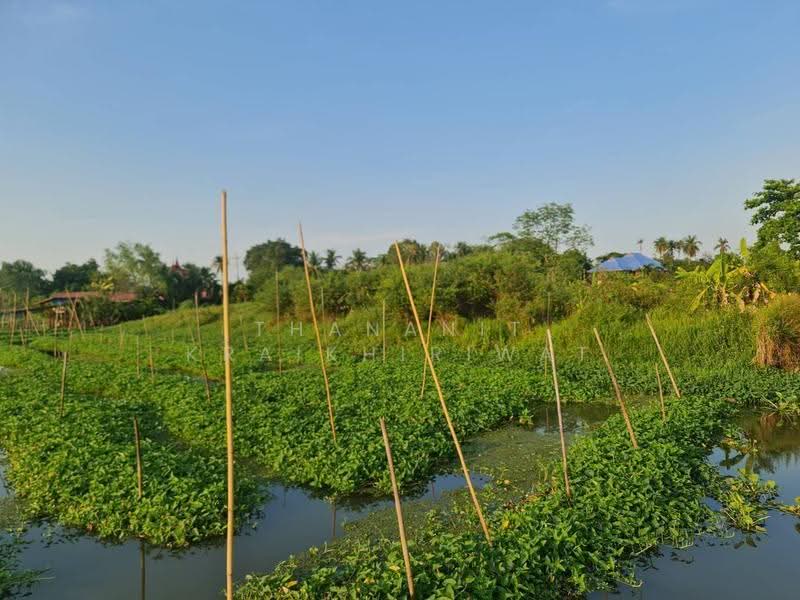 ขายที่ดินเปล่า สามพราน, Nakhon Pathom, Hom Kret, Sam Phran, Nakhon Pathom, , 3,200 sqm, Land For Sale, by Thananit Kraikhiriwat, 11893260 - DDproperty.com
