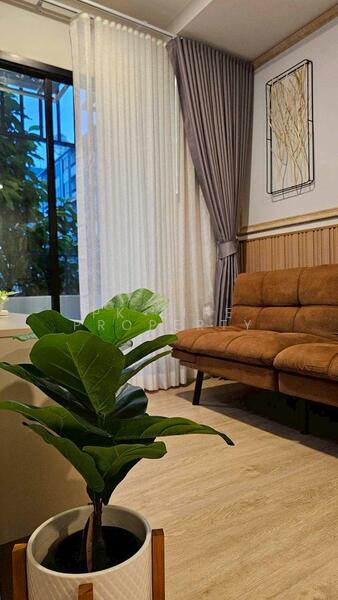 The Cube Amaze Srisoonthon : เดอะคิวบ์ อะเมซ ศรีสุนทร, ภูเก็ต, เลขที่ 46/21 ถ.ศรีสุนทร, ศรีสุนทร, ถลาง, ภูเก็ต, 29 ตร.ม., คอนโด ให้เช่า, โดย PK LIFE Property, 11893311 - DDproperty.com