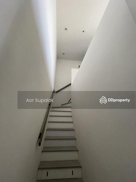 ให้เช่า - The Line Sukhumvit 101 : เดอะ ไลน์ สุขุมวิท 101, กรุงเทพ