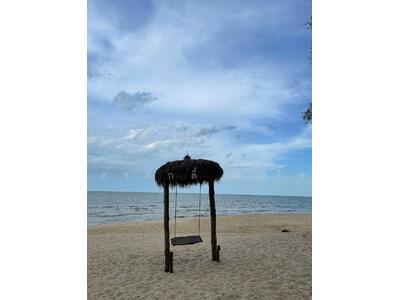 ขาย - ที่ดินเปล่า 38-1-85ไร่ ติดหาดม่วงงาม อ.สิงหนคร จ.สงขลา, สงขลา