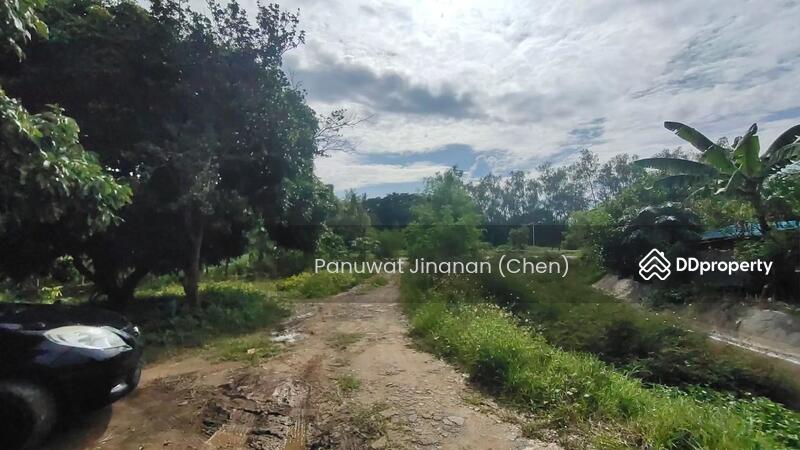 For Sale - หาไม่เจอ, Chiang Mai