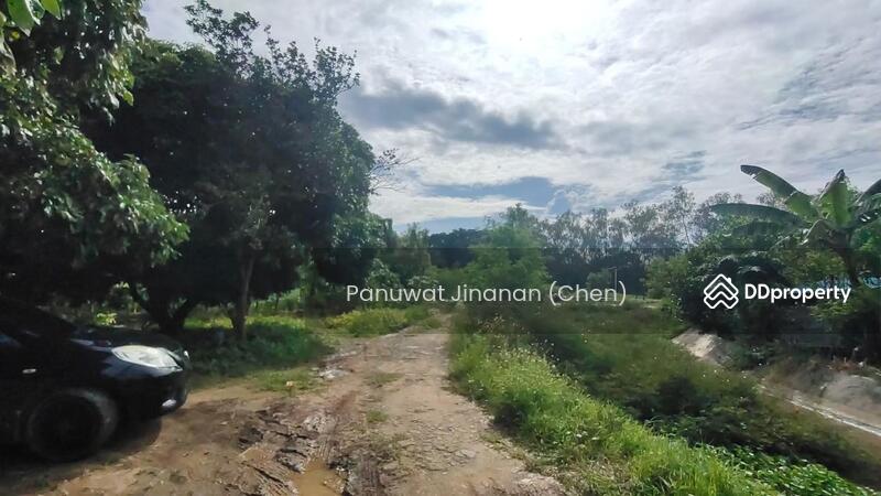 For Sale - หาไม่เจอ, Chiang Mai