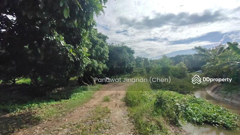 For Sale - หาไม่เจอ, Chiang Mai