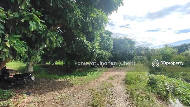 For Sale - หาไม่เจอ, Chiang Mai