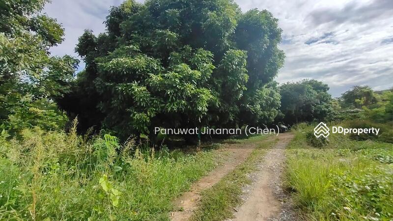 ขาย - หาไม่เจอ, เชียงใหม่