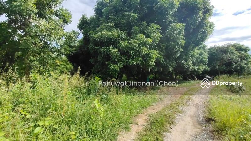 For Sale - หาไม่เจอ, Chiang Mai