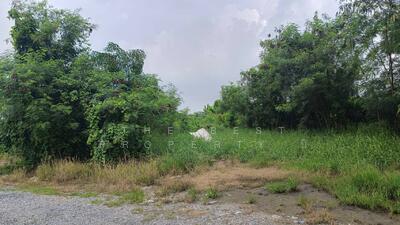 ขาย - ที่ดินคลองสามวา กรุงเทพมหานคร, กรุงเทพ