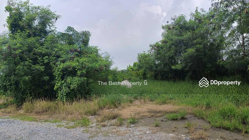 ขาย - ที่ดินคลองสามวา กรุงเทพมหานคร, กรุงเทพ