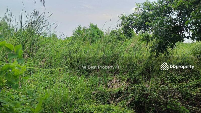 ขาย - ที่ดินคลองสามวา กรุงเทพมหานคร, กรุงเทพ