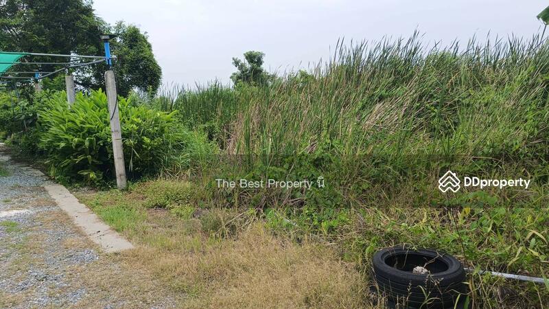 ขาย - ที่ดินคลองสามวา กรุงเทพมหานคร, กรุงเทพ