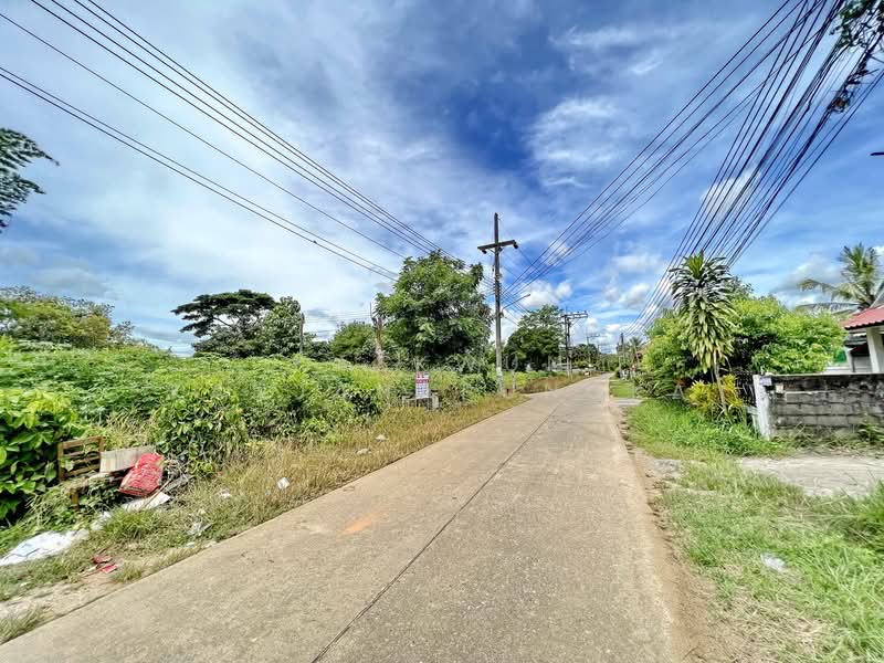 LB62 ขายที่ดินหลากหลายแปลง ตำแหน่งทอง ริมกก เชียงราย, เชียงราย, ริมกก, เมืองเชียงราย, เชียงราย, 400 ตร.ม., ที่ดิน ขาย, โดย Kaekwun Kanjanapungka, 11894195 - DDproperty.com